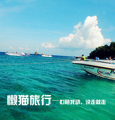 懒猫旅行